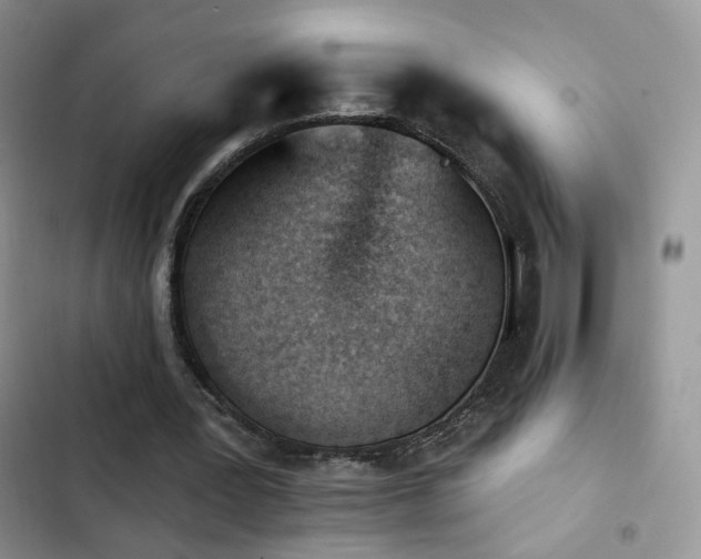 X0000102870387200808181511