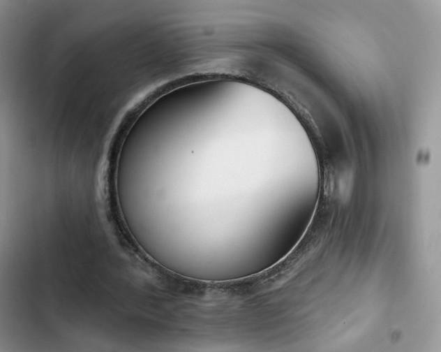 X0000102870388200808181511