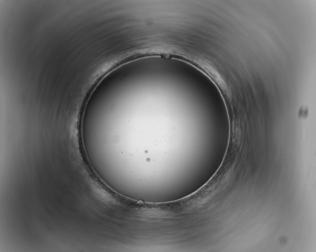 X0000102870389200808181511