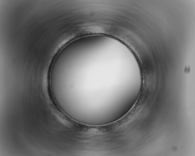 X0000102870390200808181511