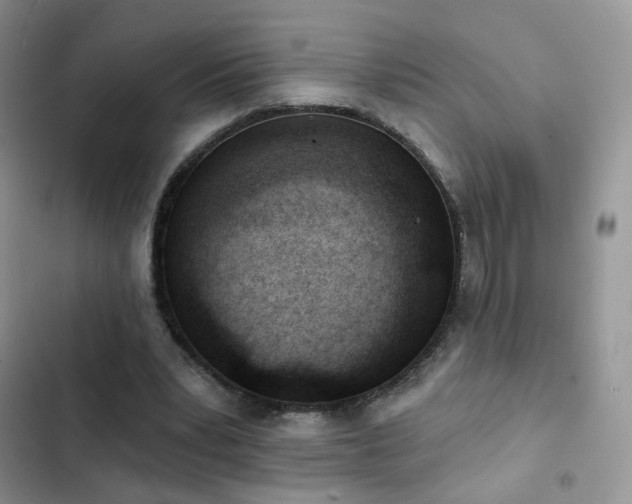 X0000102870391200808181511