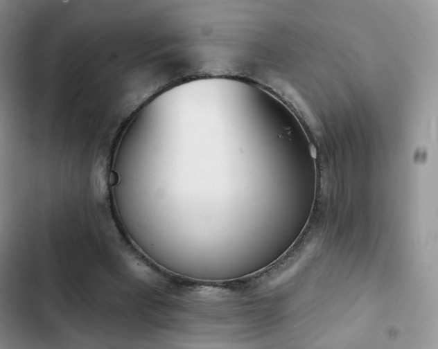X0000102870393200808181511
