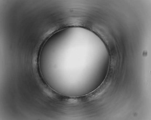 X0000102870394200808181511