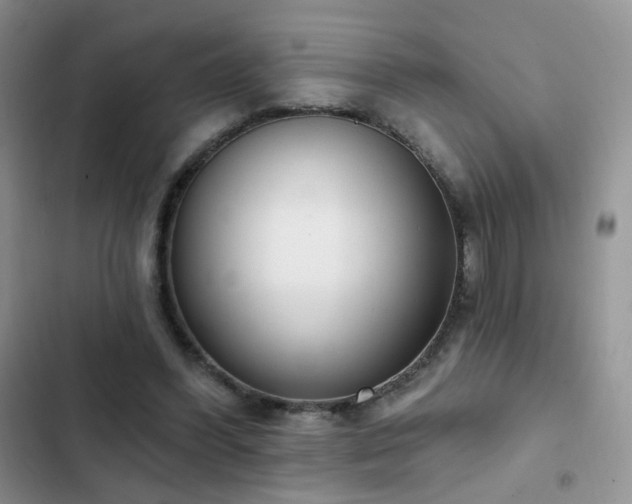 X0000102870396200808181511
