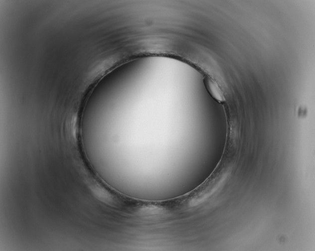 X0000102870397200808181511