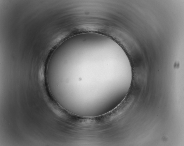 X0000102870398200808181511