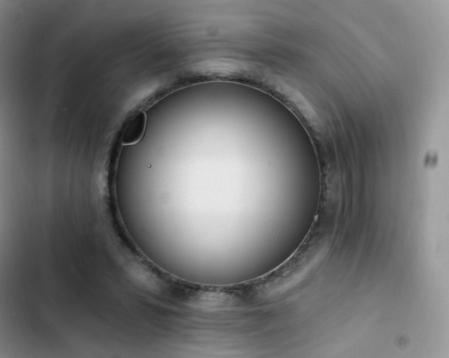 X0000102870399200808181511