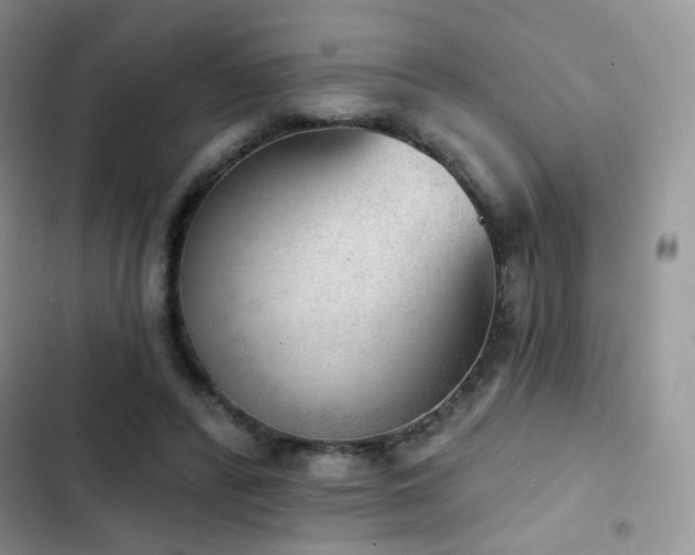 X0000102870400200808181511