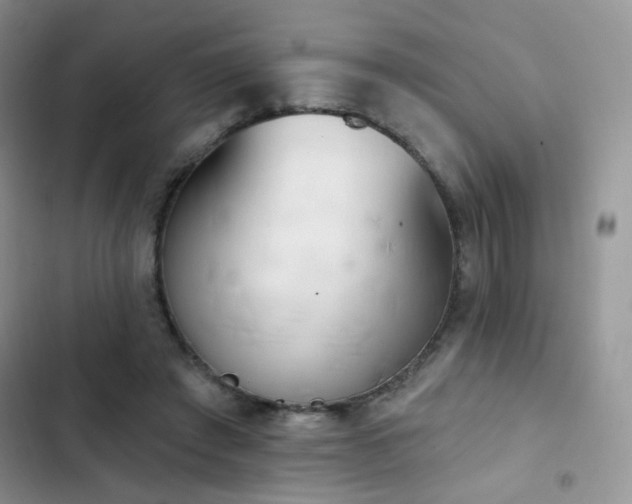 X0000102870401200808181511
