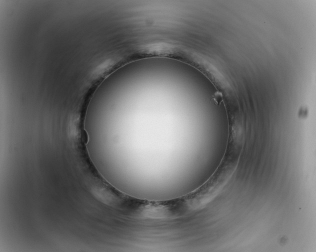 X0000102870403200808181511