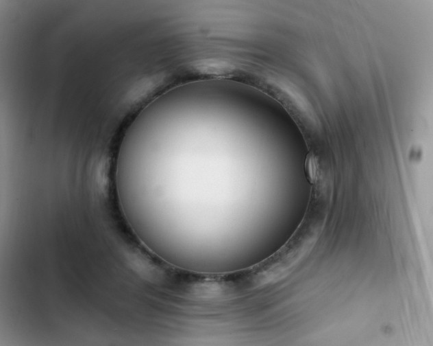 X0000102870404200808181511