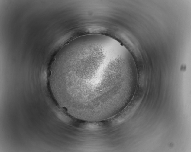 X0000102870405200808181511