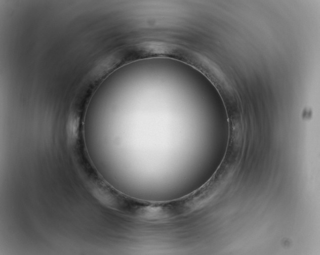 X0000102870406200808181511