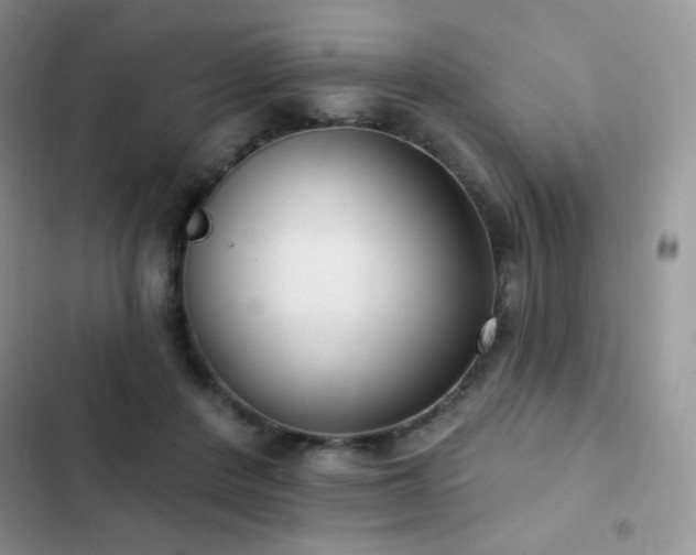X0000102870408200808181510