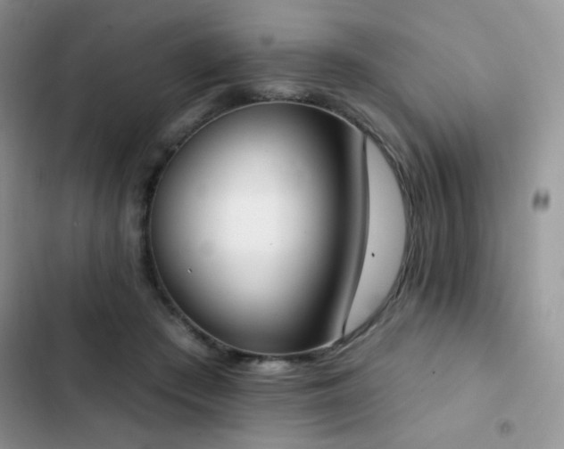 X0000102870409200808181510
