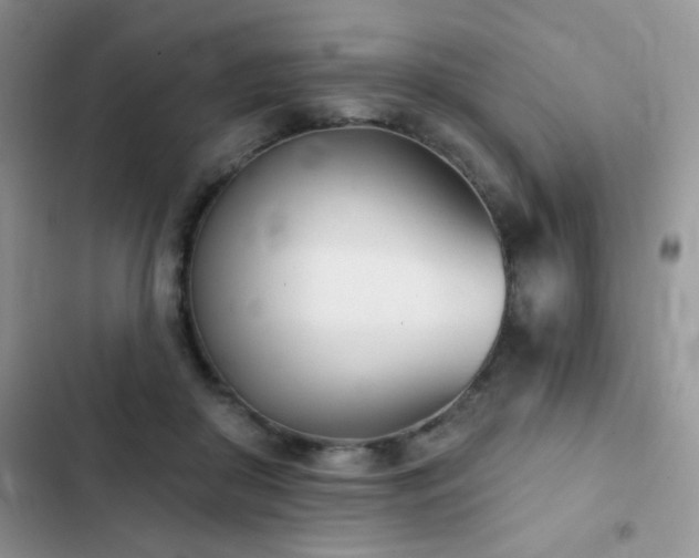 X0000102870410200808181510