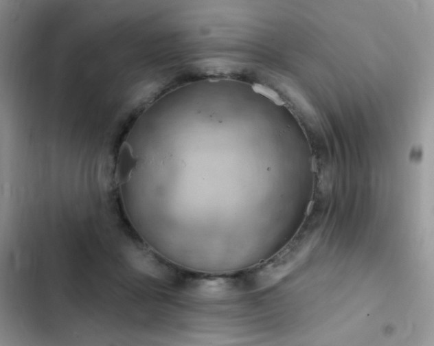 X0000102870411200808181510