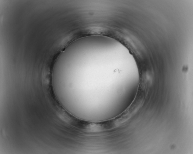 X0000102870413200808181510