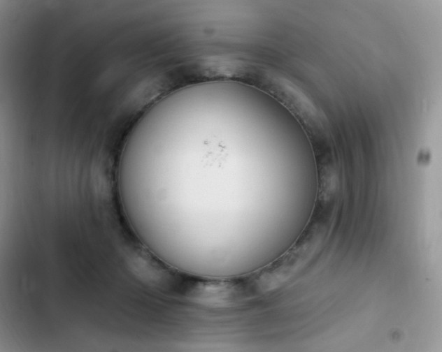 X0000102870414200808181510