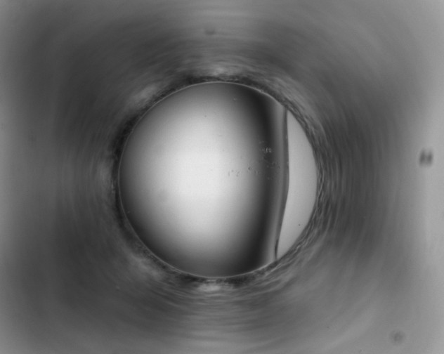 X0000102870415200808181510