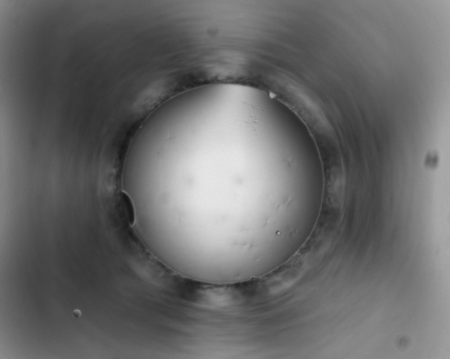 X0000102870417200808181510