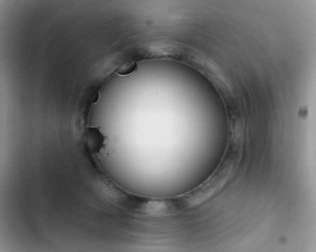 X0000102870418200808181510
