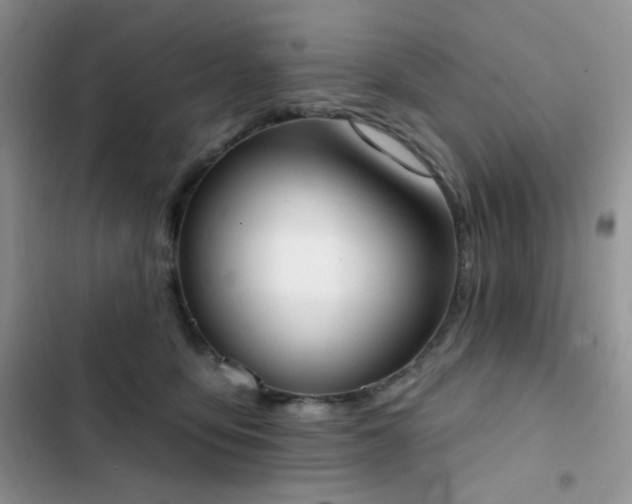 X0000102870419200808181510