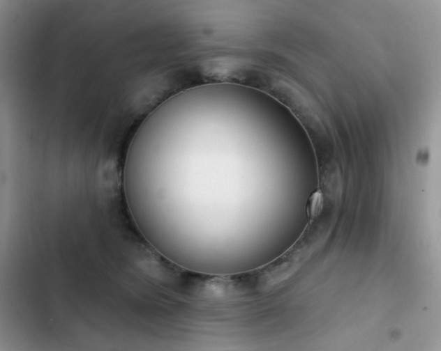 X0000102870420200808181510