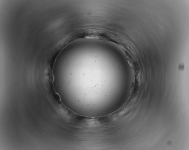 X0000102870424200808181510