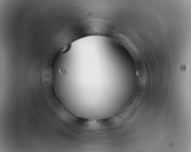 X0000102870425200808181510