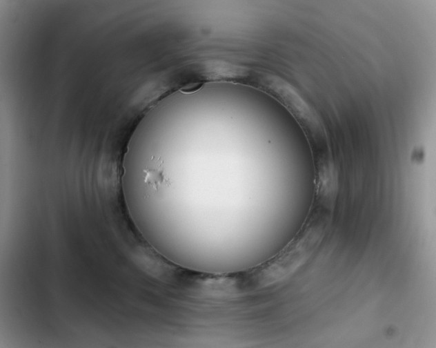 X0000102870426200808181510