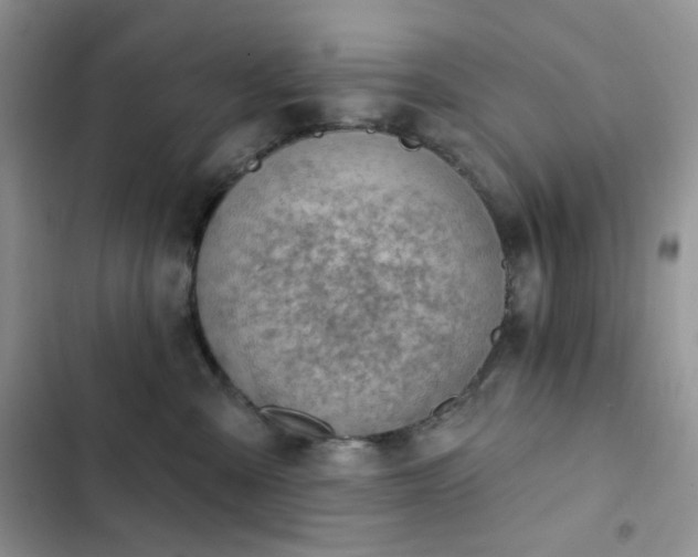 X0000102870427200808181510