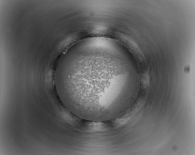 X0000102870428200808181510
