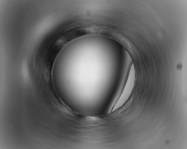 X0000102870429200808181510