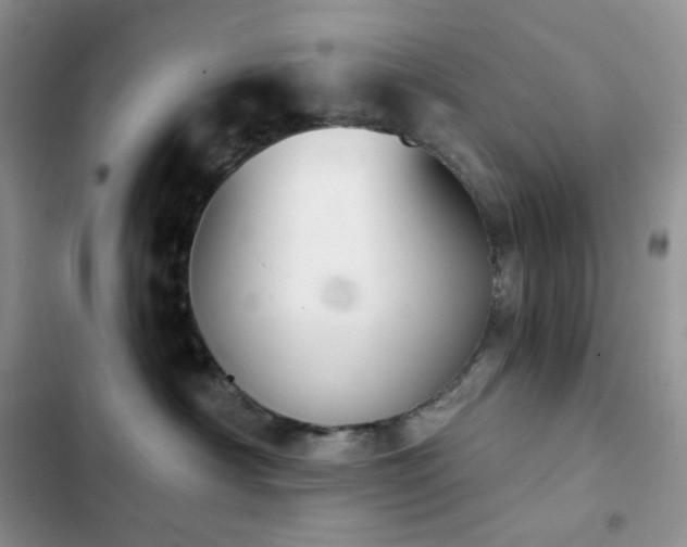 X0000102870430200808181510