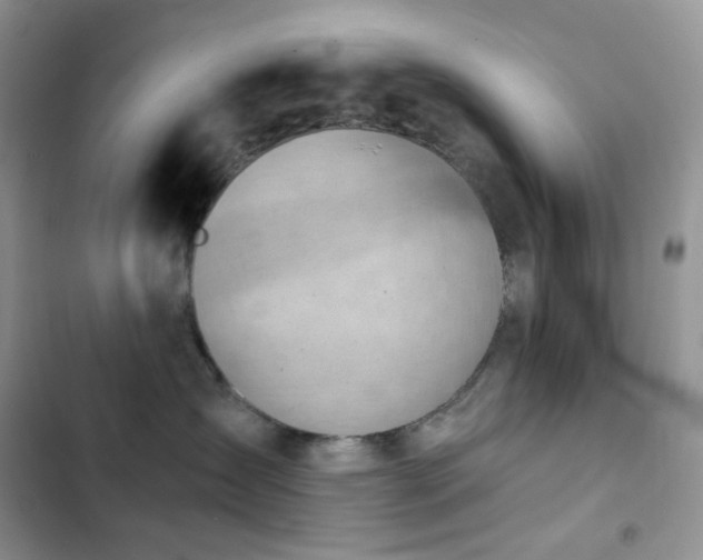 X0000102870431200808181510