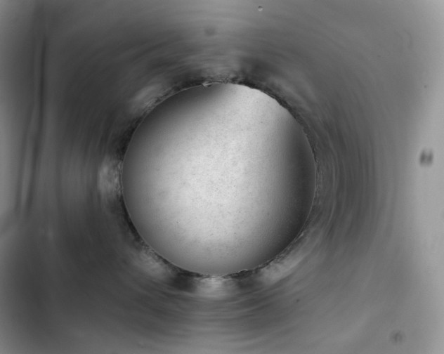 X0000102870432200808181510