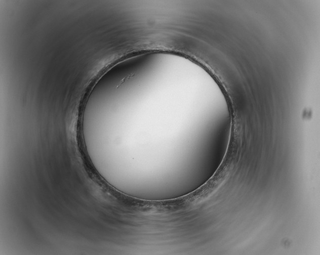 X0000102870434200808181509