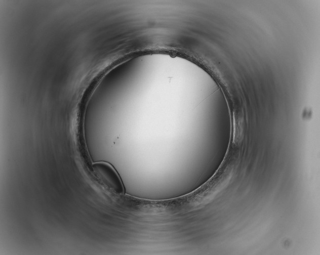 X0000102870435200808181509