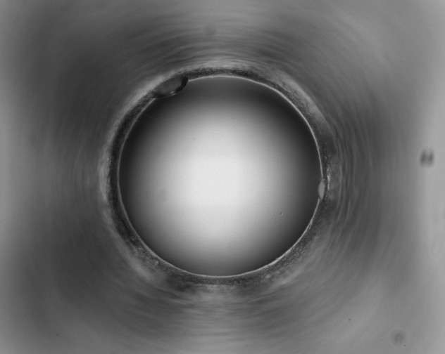X0000102870436200808181509