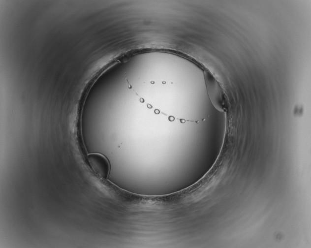 X0000102870437200808181509