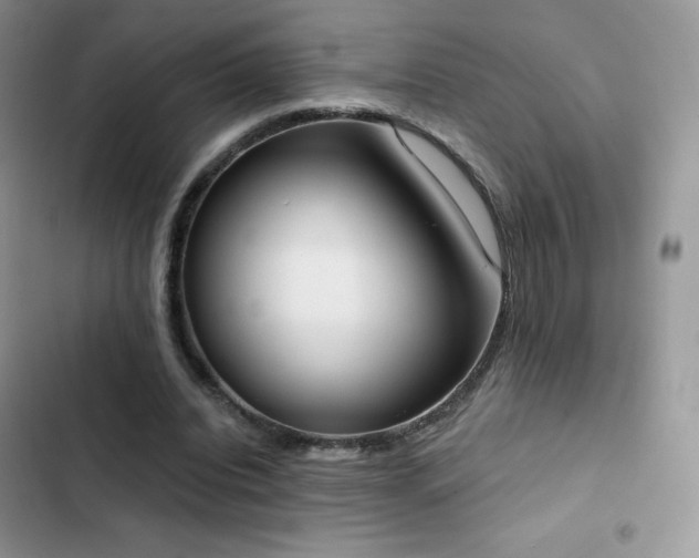 X0000102870440200808181509