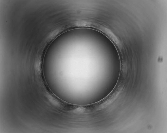 X0000102870441200808181509