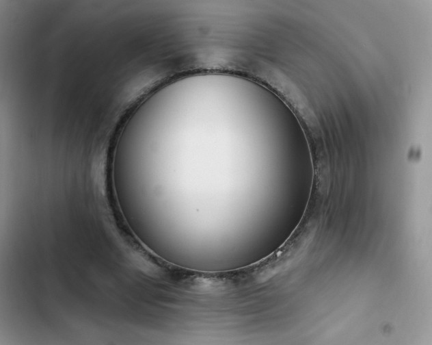 X0000102870442200808181509