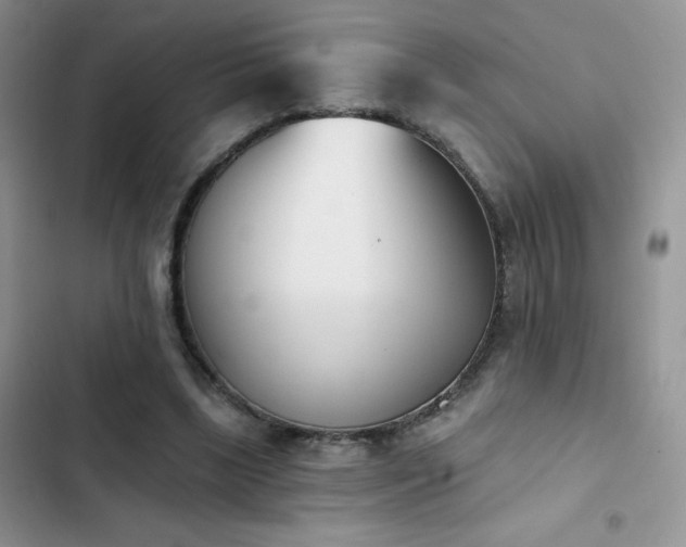 X0000102870443200808181509