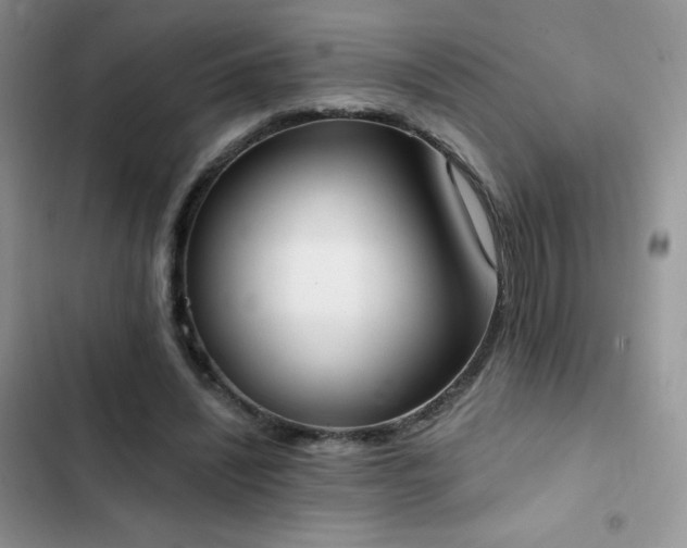X0000102870444200808181509