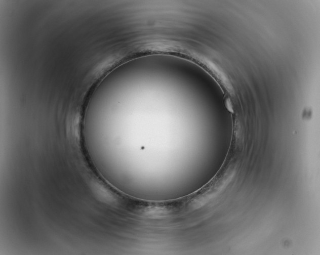 X0000102870445200808181509