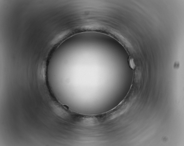 X0000102870446200808181509