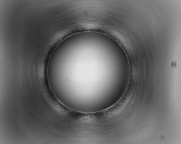 X0000102870447200808181509