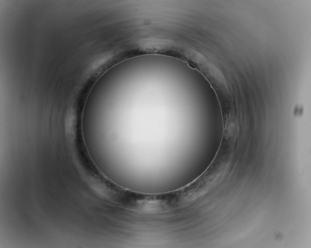 X0000102870448200808181509